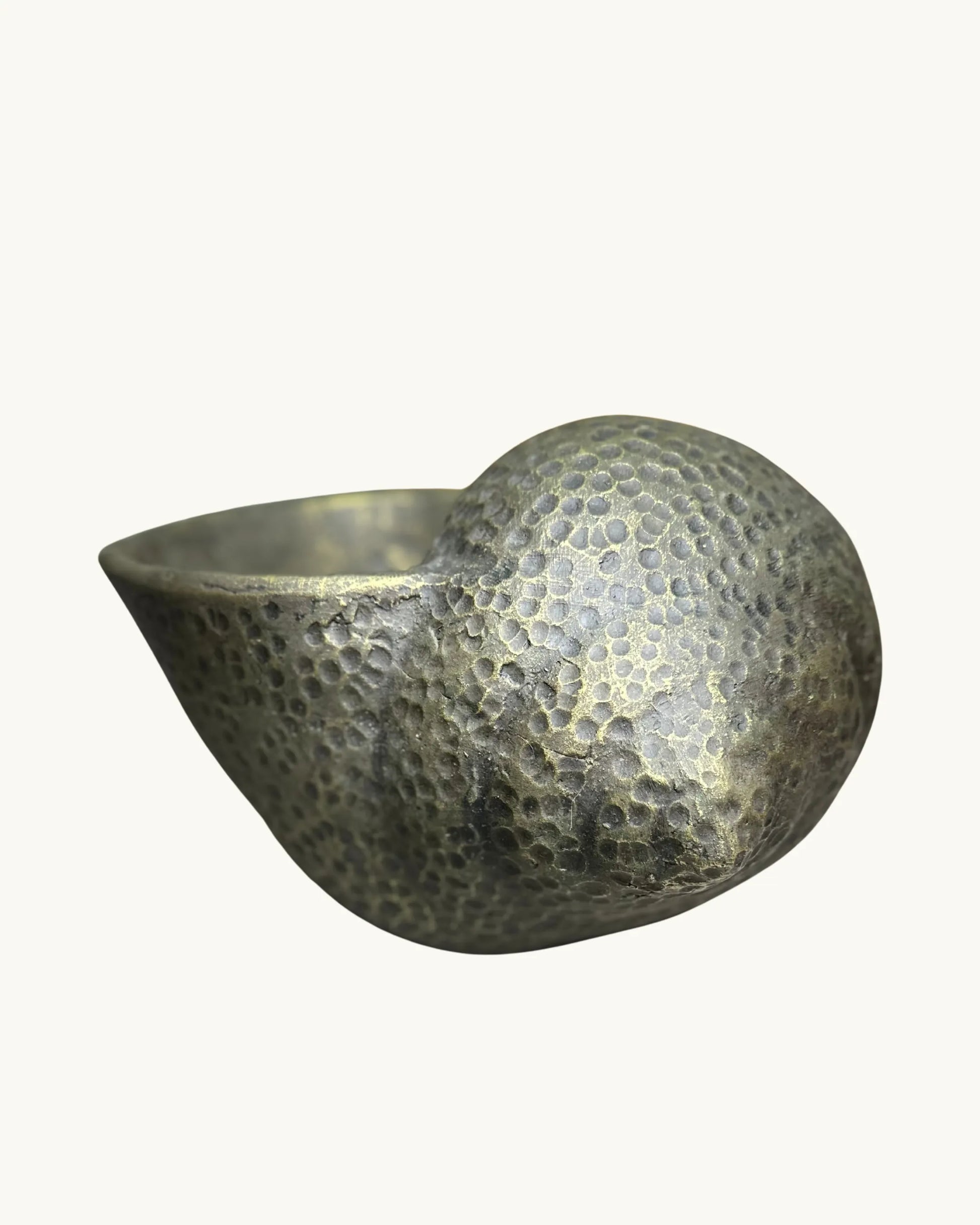 Coquillage – Pot