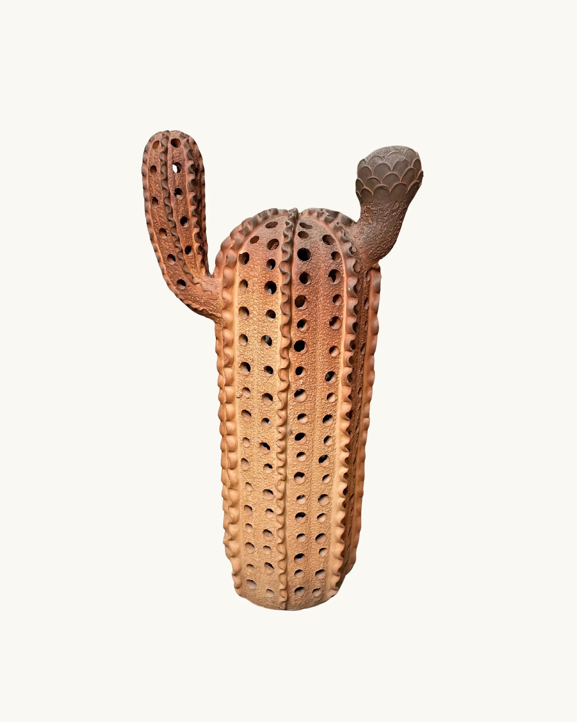 Fairy Castle - Cactus