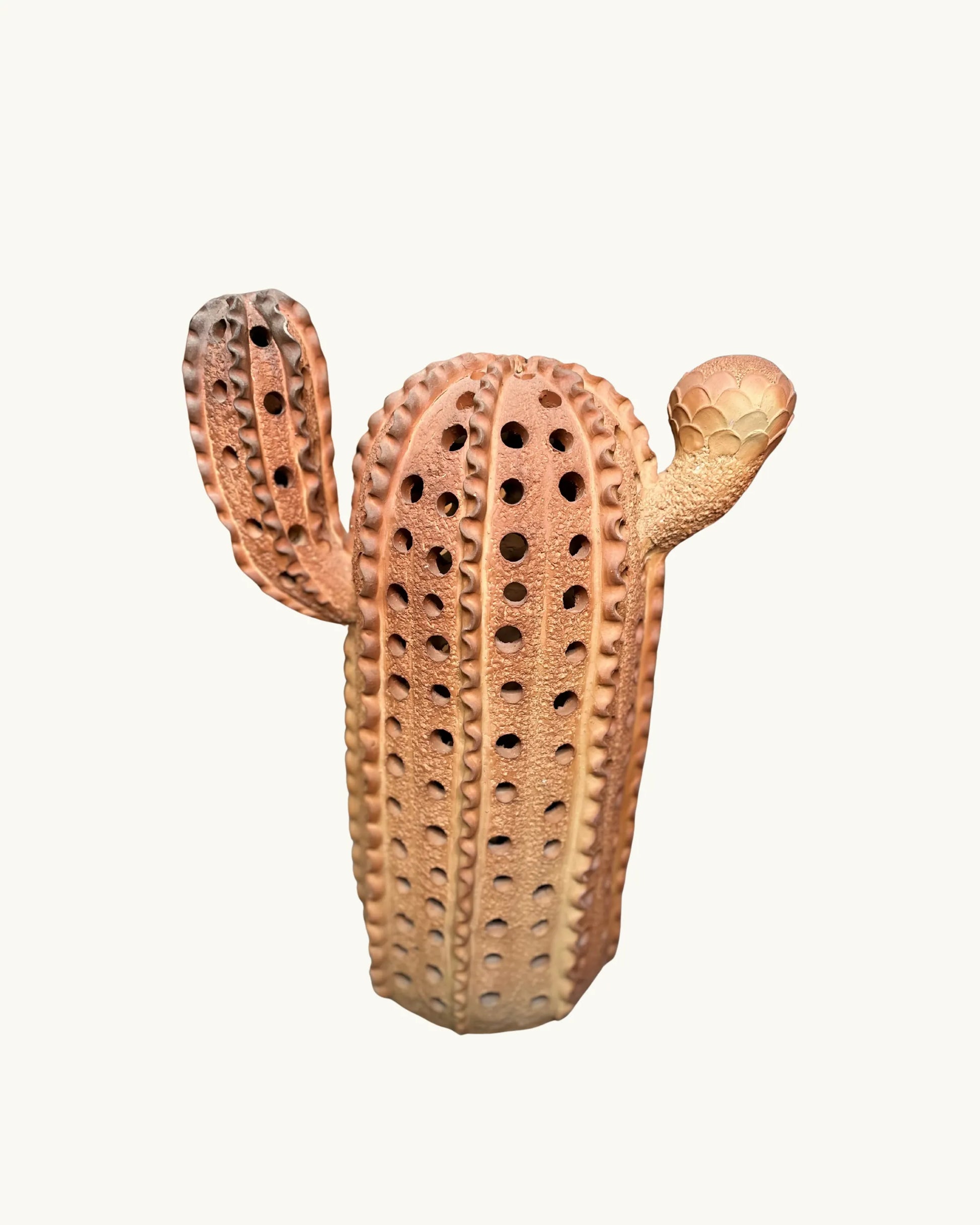 Fairy Castle - Cactus