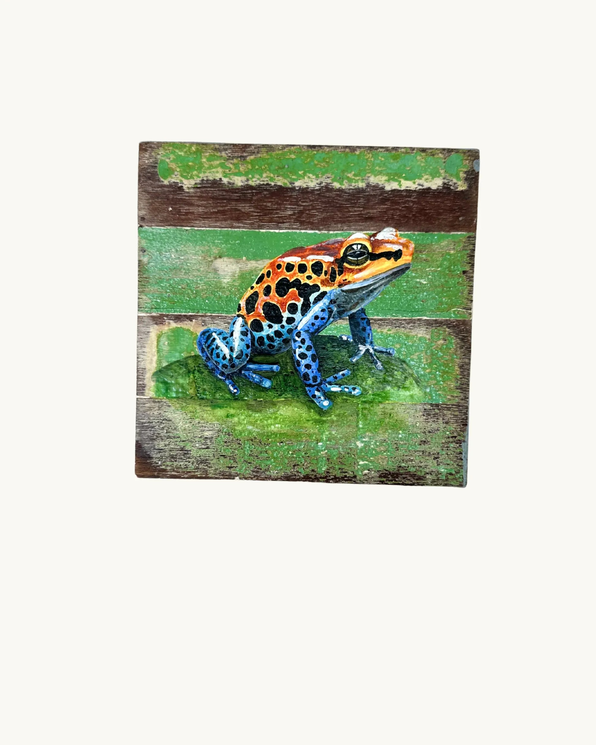 Tableau - Grenouille