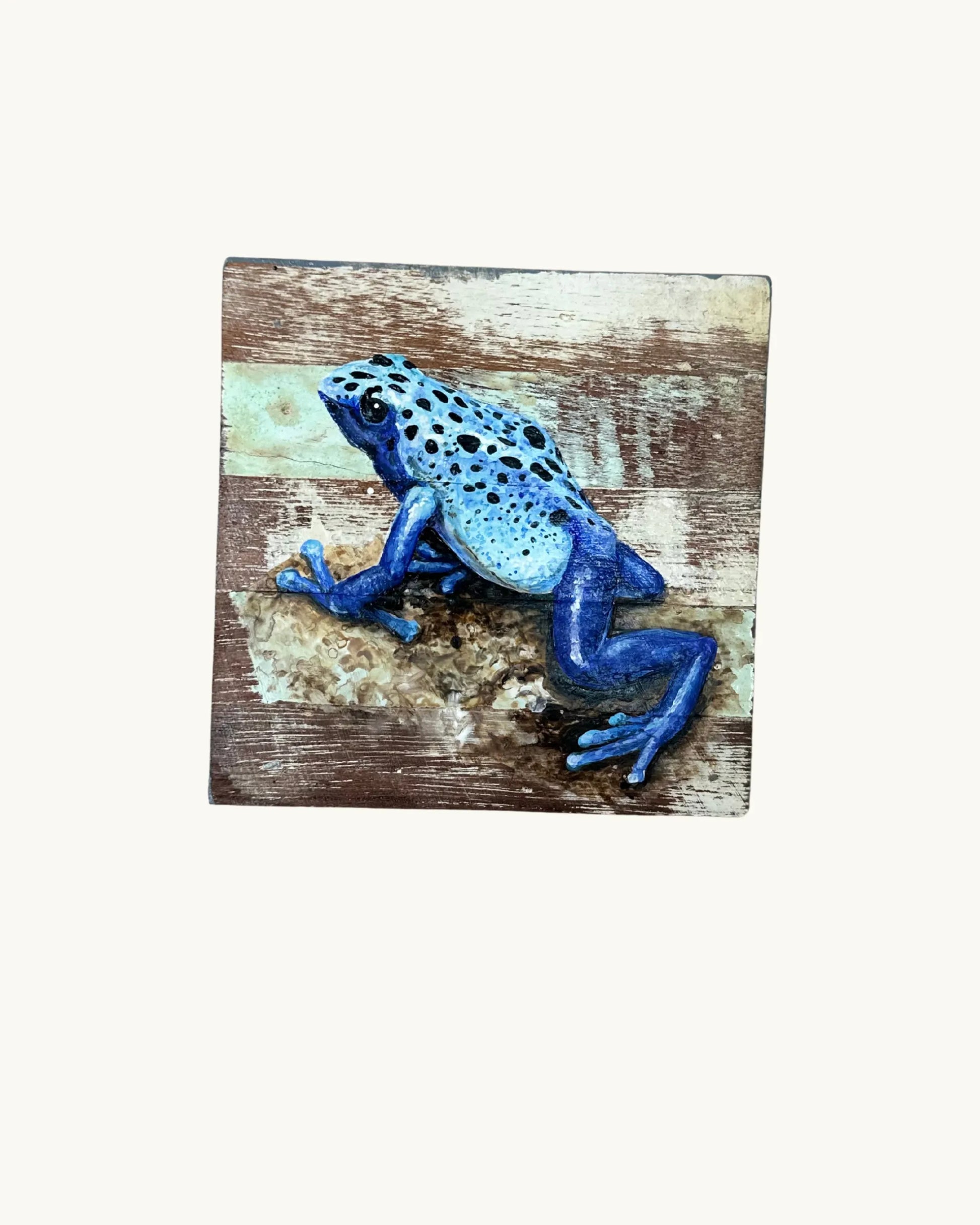 Tableau - Grenouille