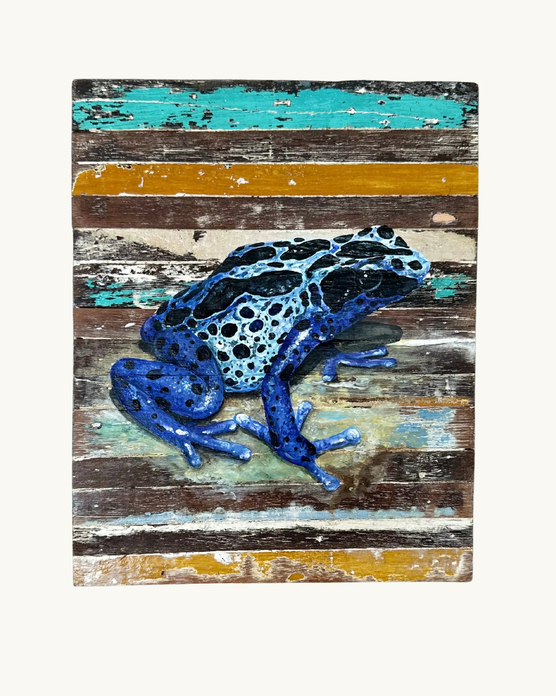 Tableau - Grenouille