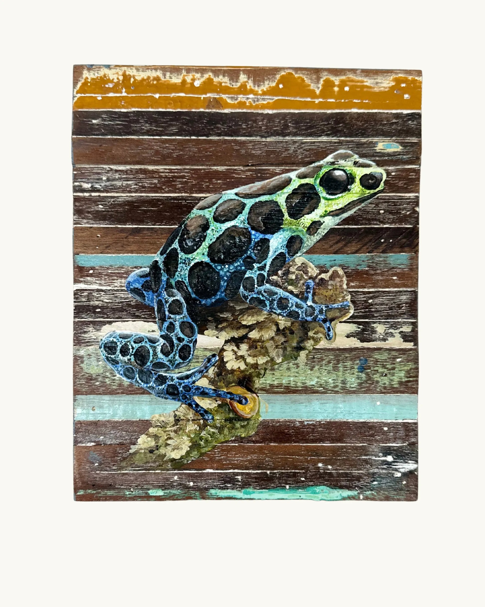 Tableau - Grenouille