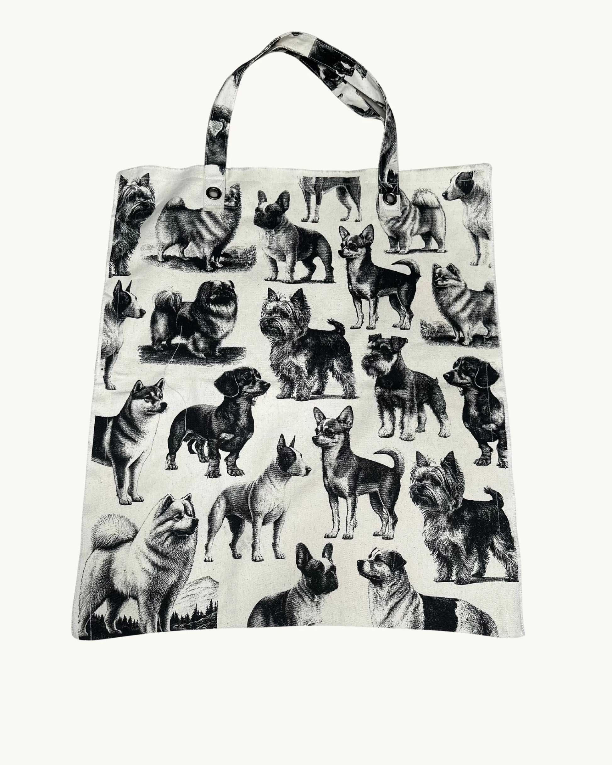 Badconceptual - Sac XL