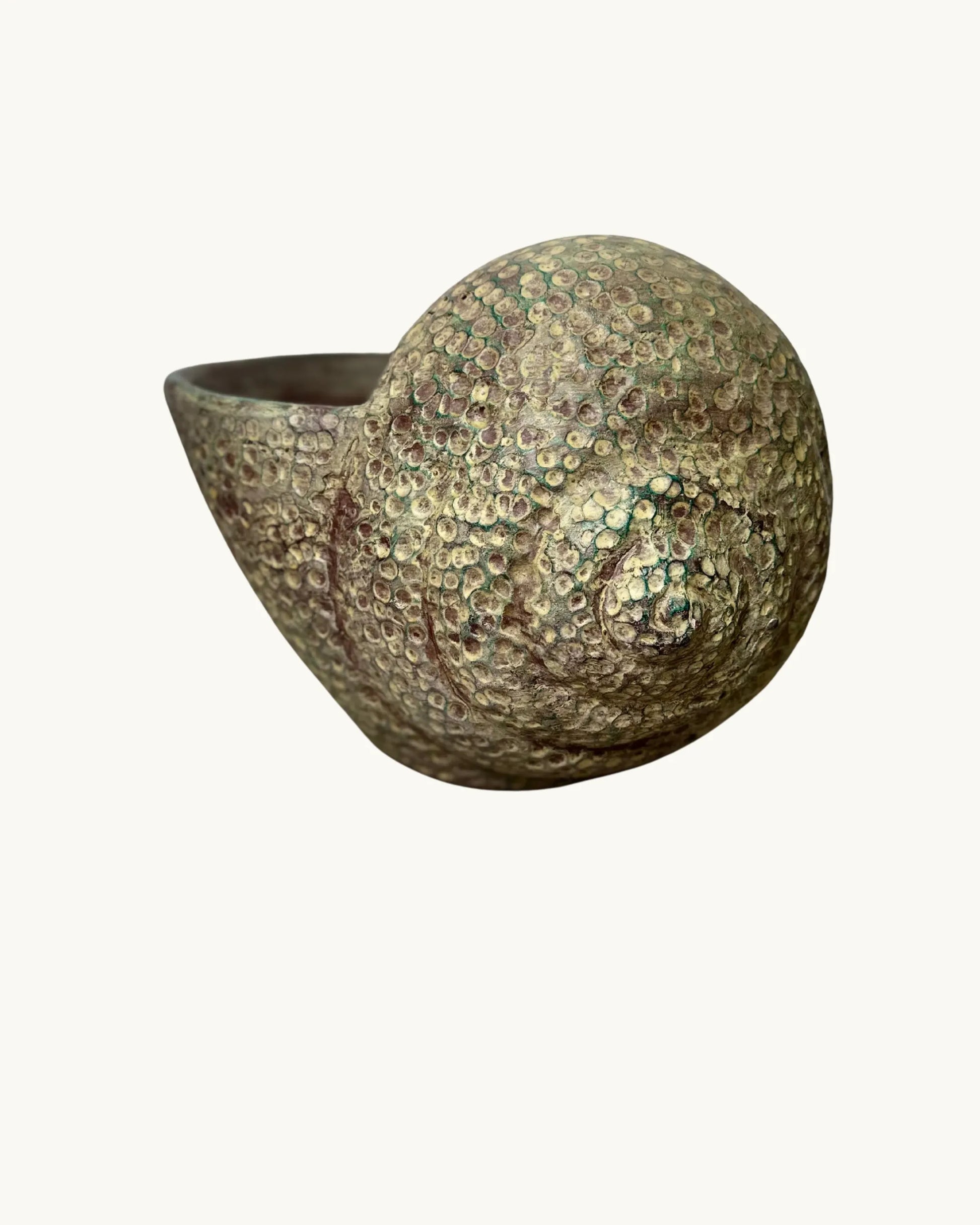 Coquillage – Pot