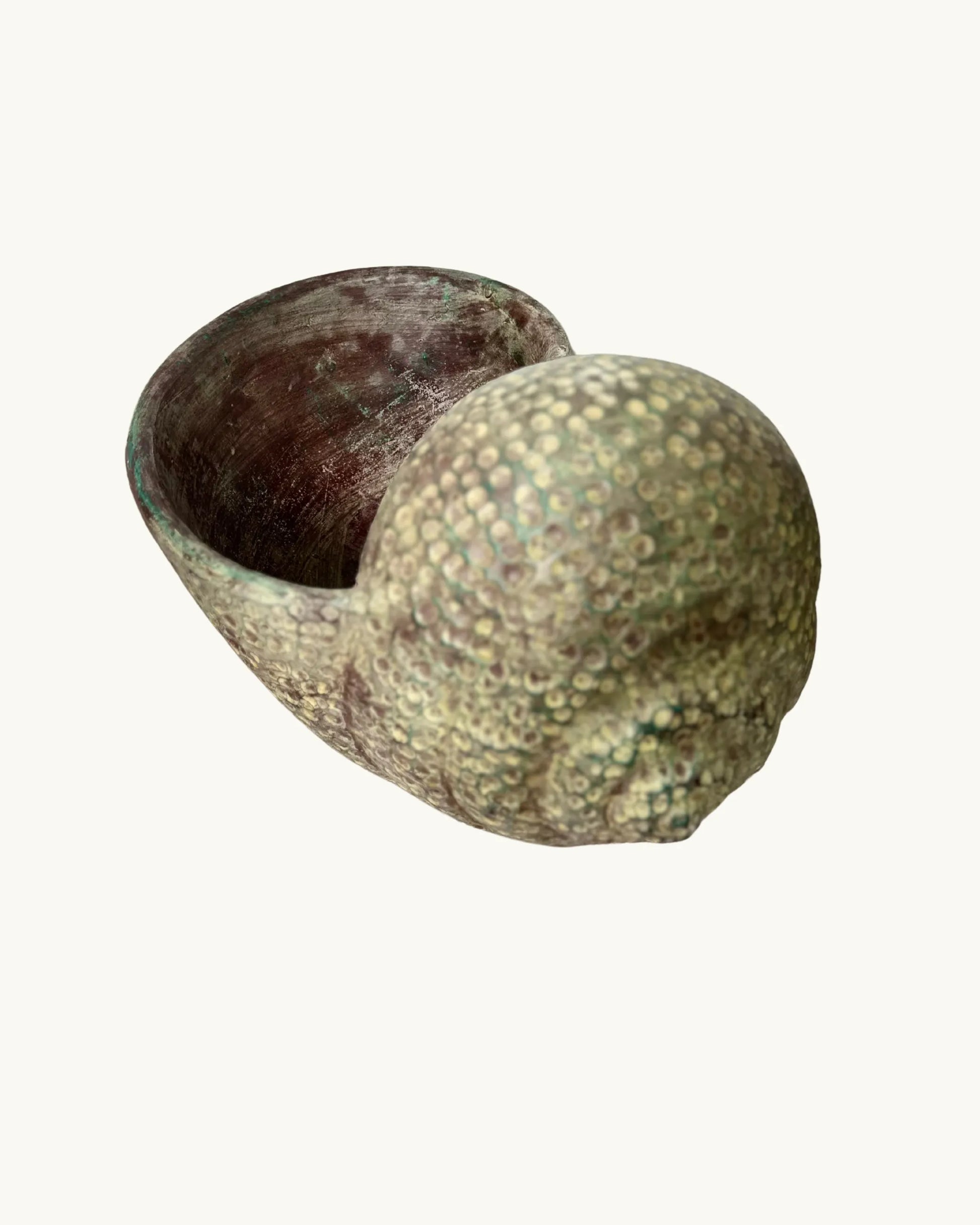 Coquillage – Pot