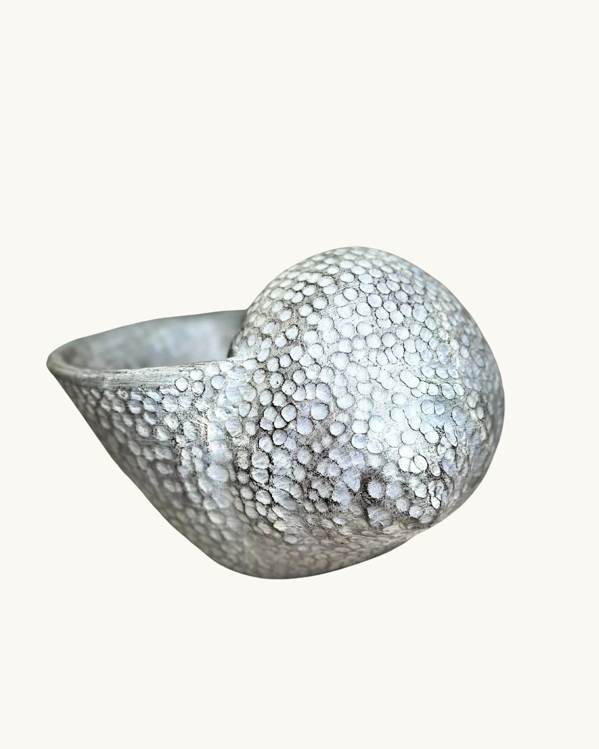 Coquillage – Pot