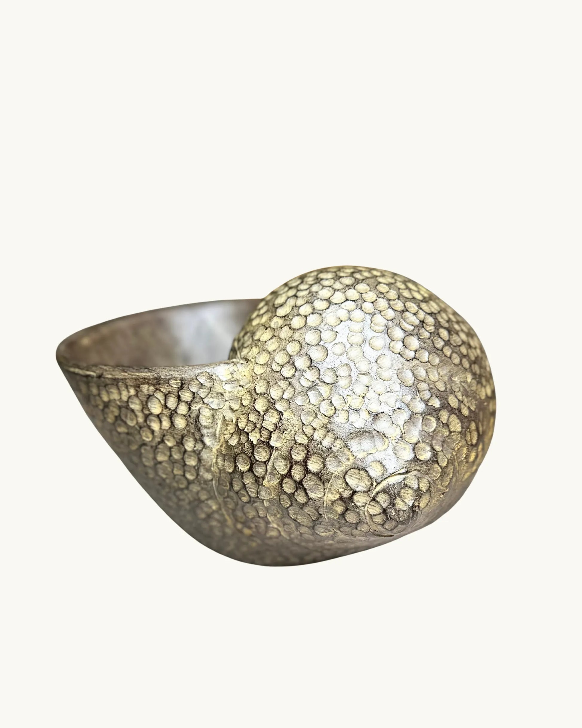 Coquillage – Pot