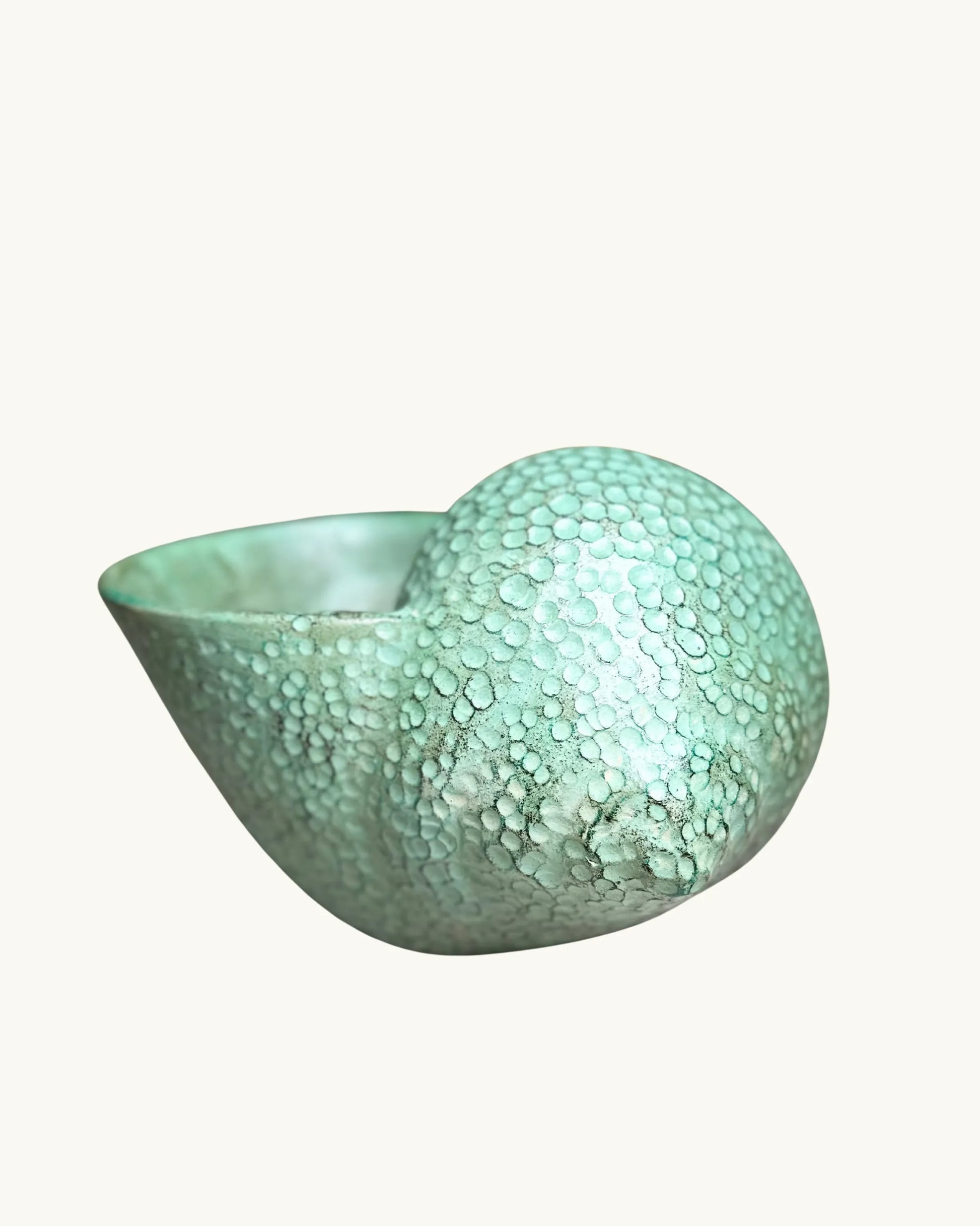 Coquillage – Pot