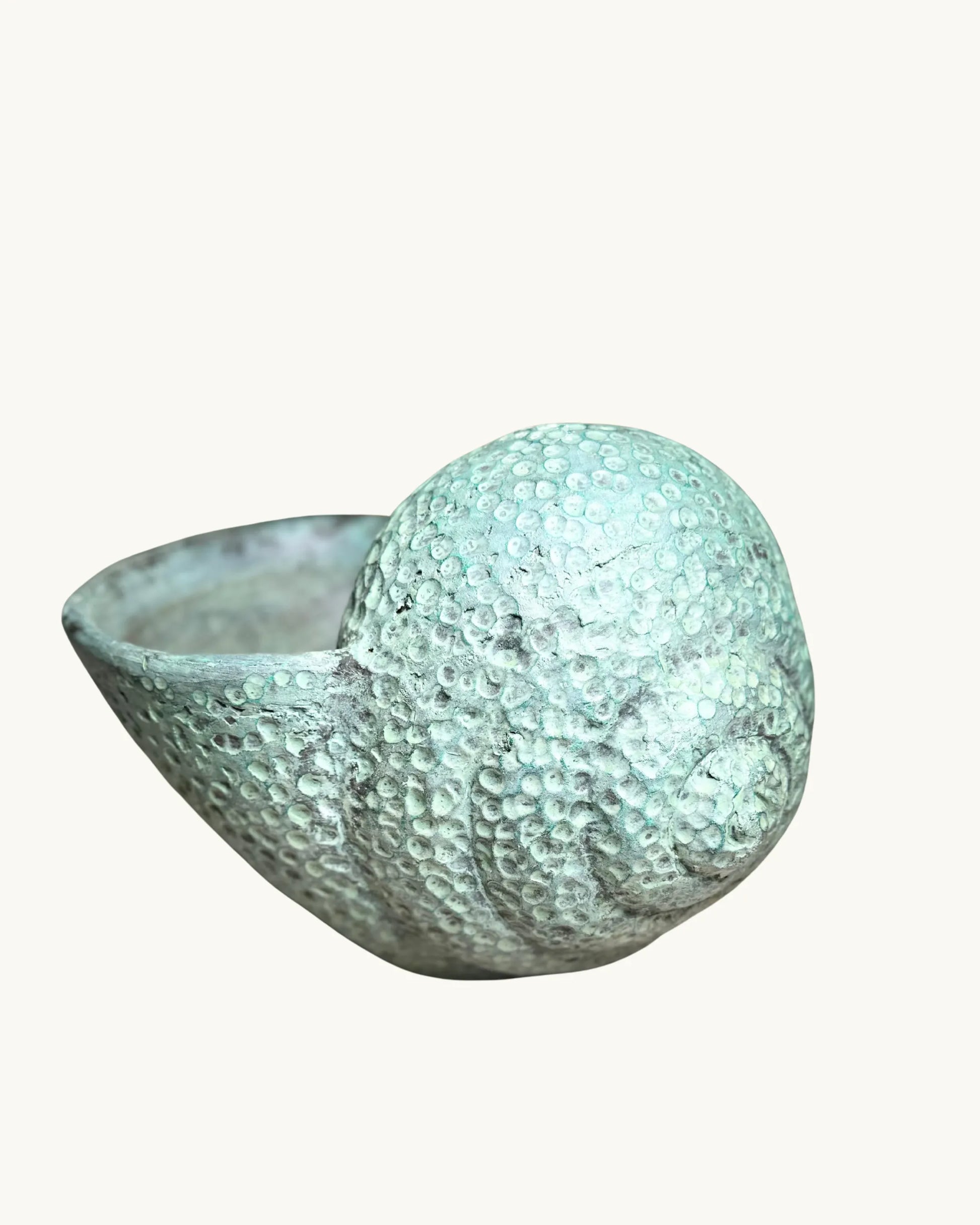 Coquillage – Pot