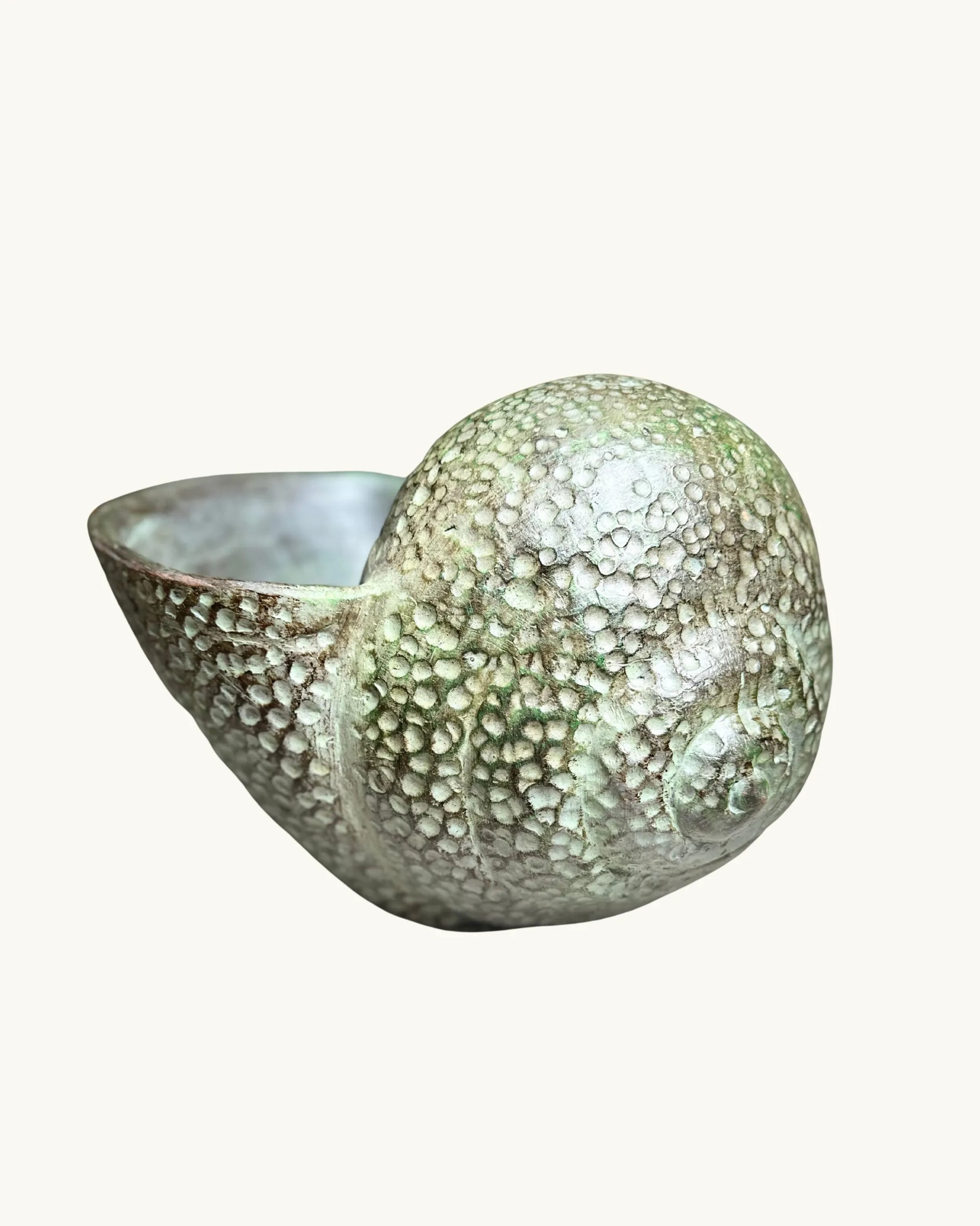 Coquillage – Pot