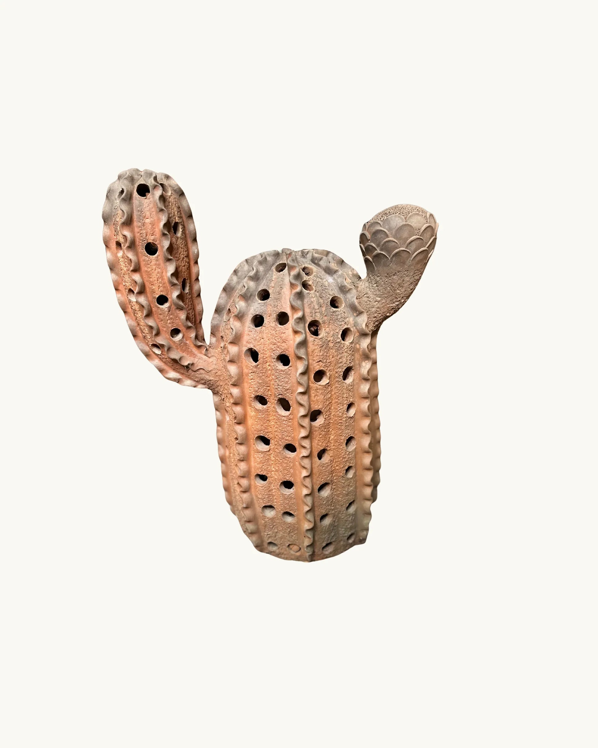 Fairy Castle - Cactus
