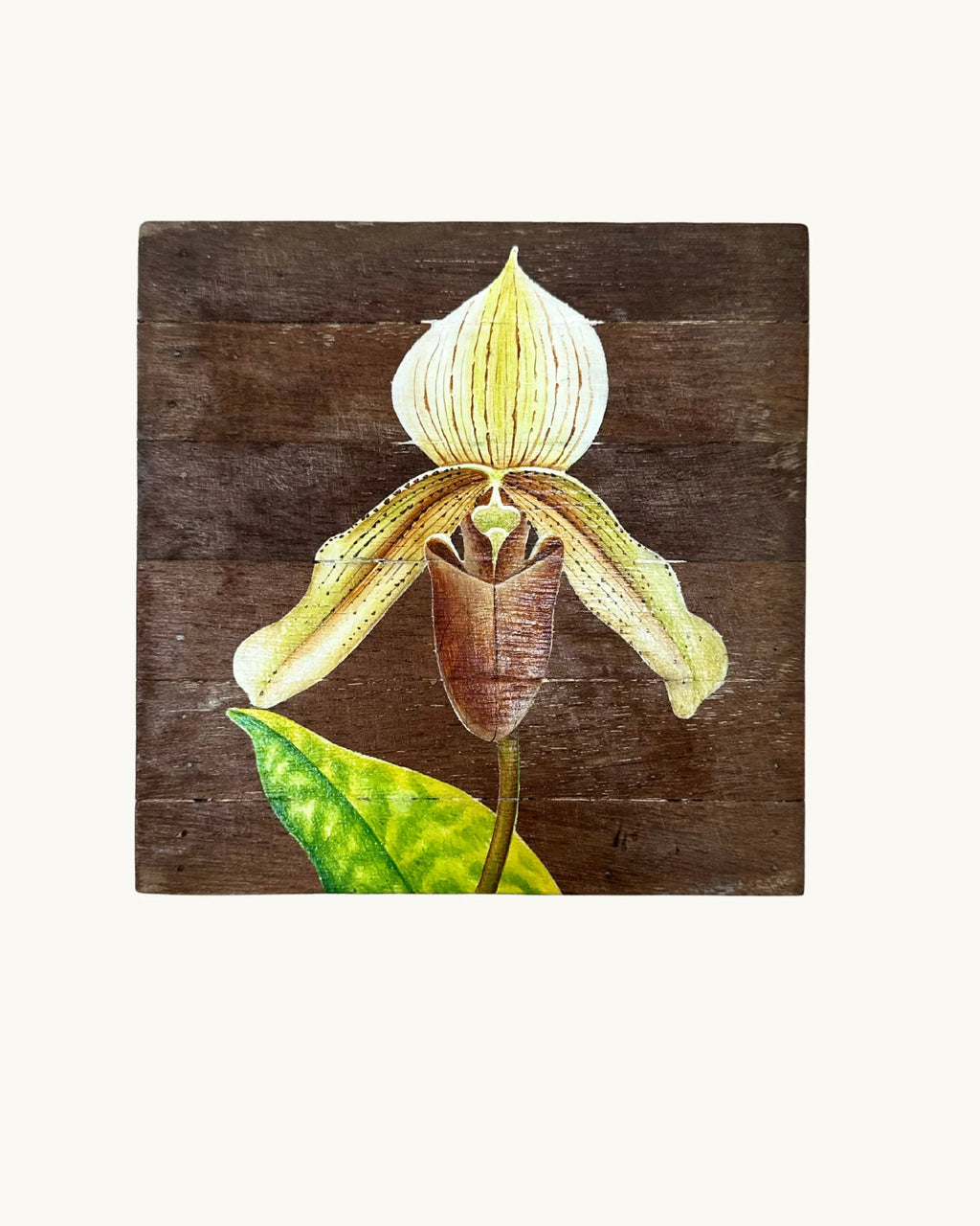 Tableau - Fleurs