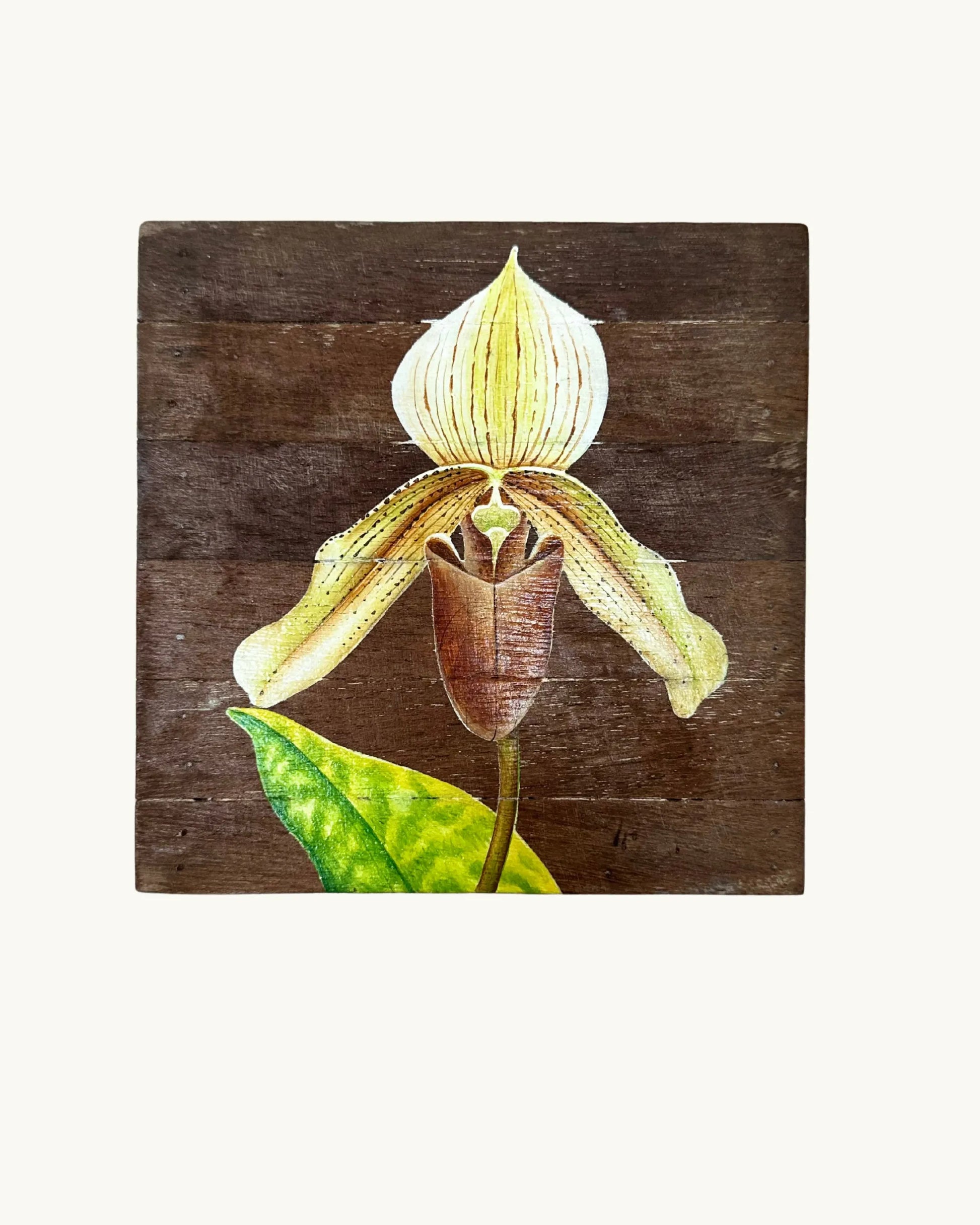 Tableau - Fleurs