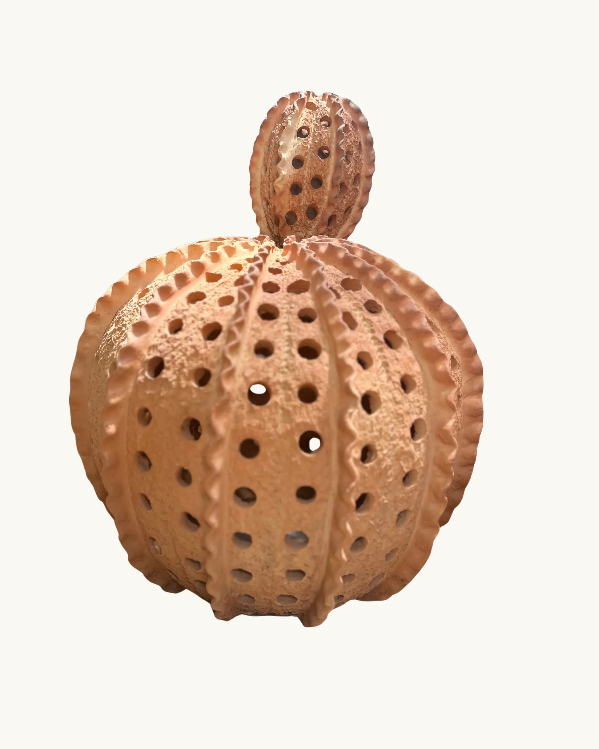 Moon - Cactus