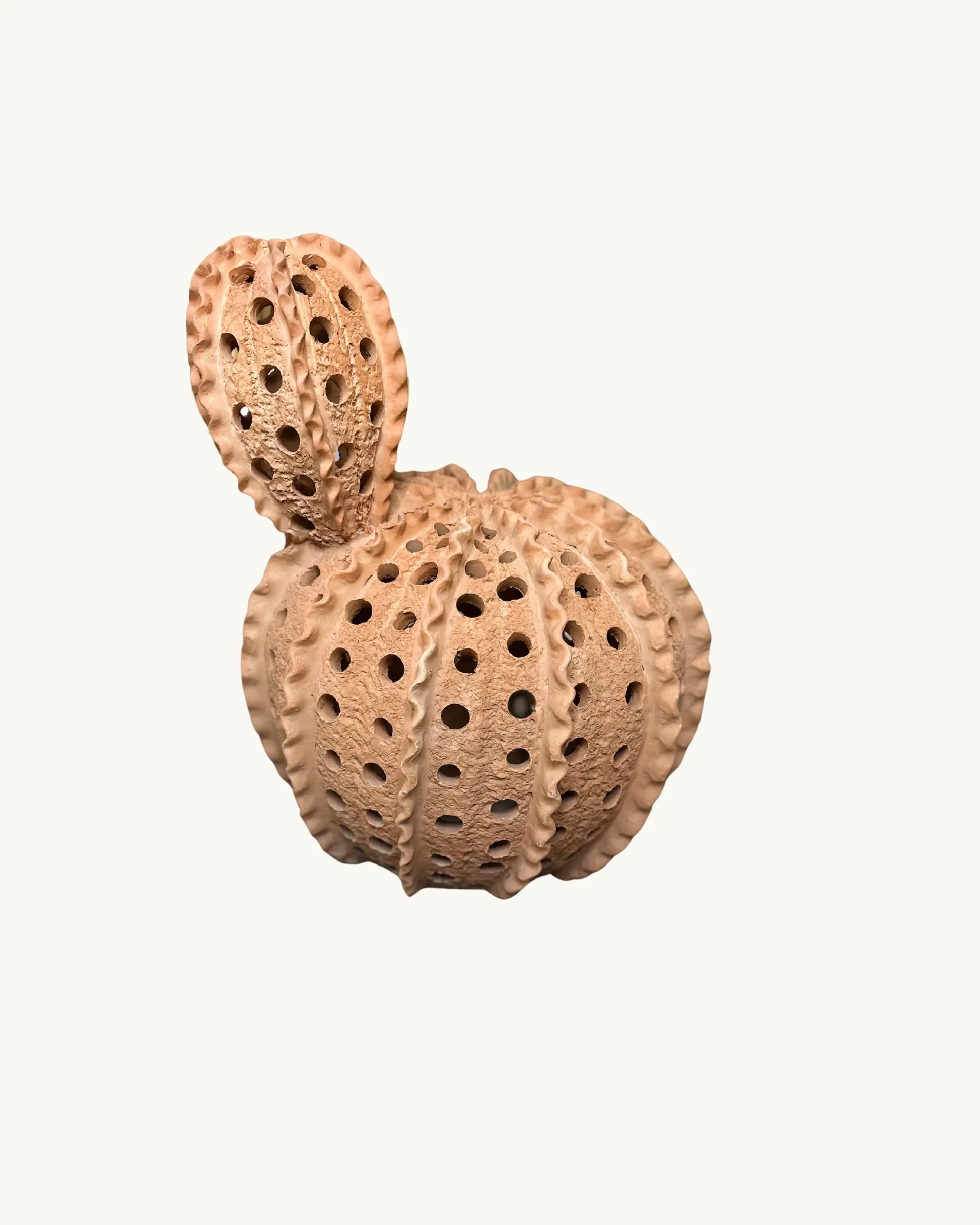 Moon - Cactus