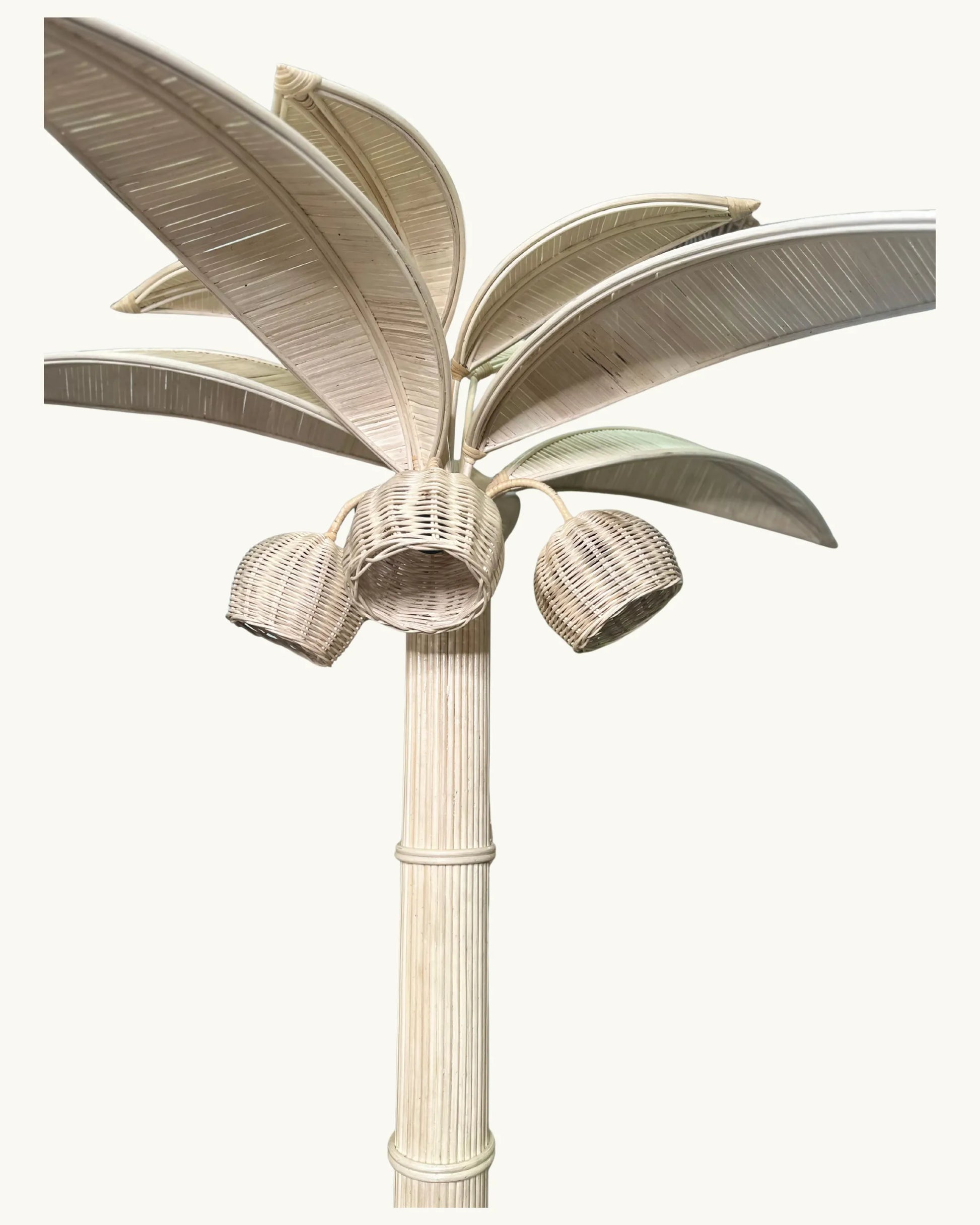 Palmier - Lampe
